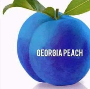 Meet your Posher, Marilyn